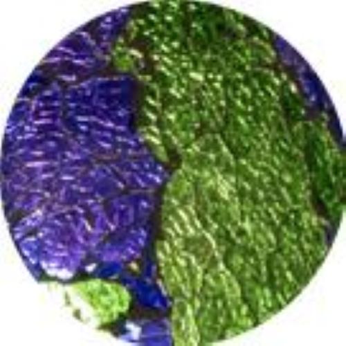Lampada da tavolo in vetro mosaicata Green Bay h. 32 cm.