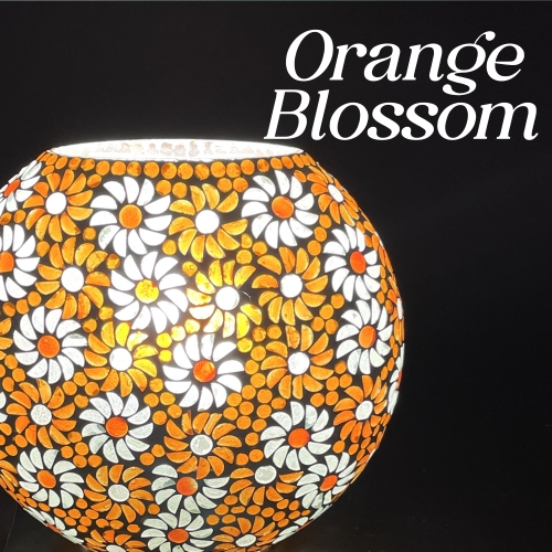 famiglia 17 - Orange Blossom