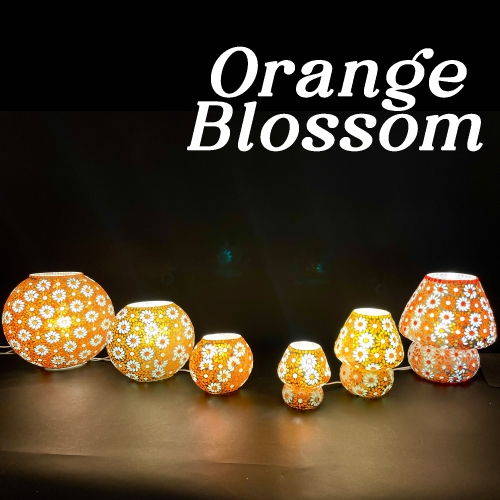 famiglia 17 - Orange Blossom